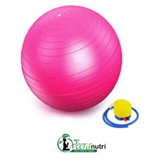 Gym Ball Pink